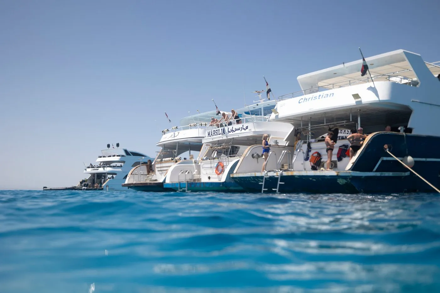 Snorkeling Trip At Sataya Dolphin Reef from Marsa Alam