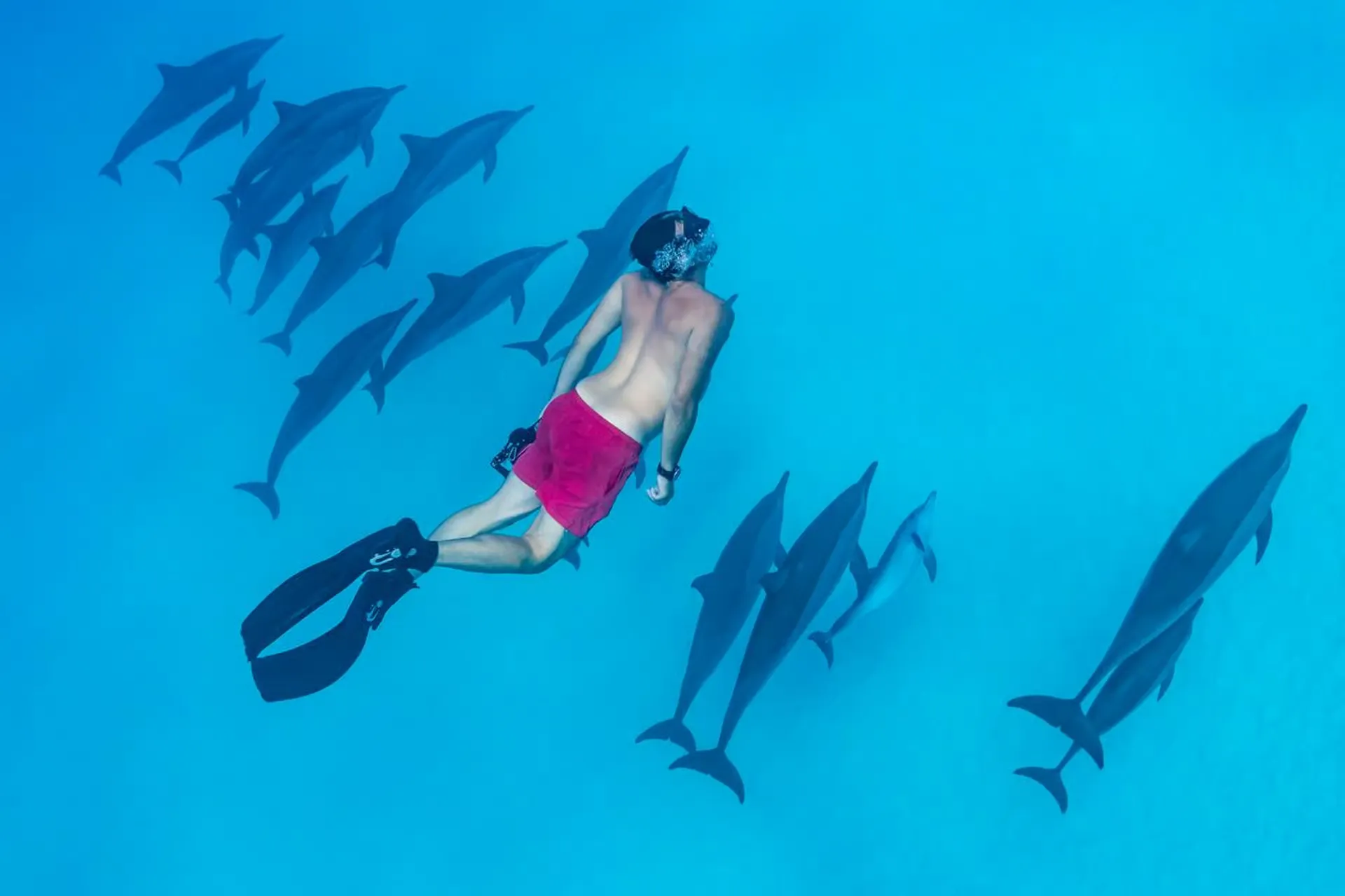 Shaab Samadai Dolphin House From Marsa Alam
