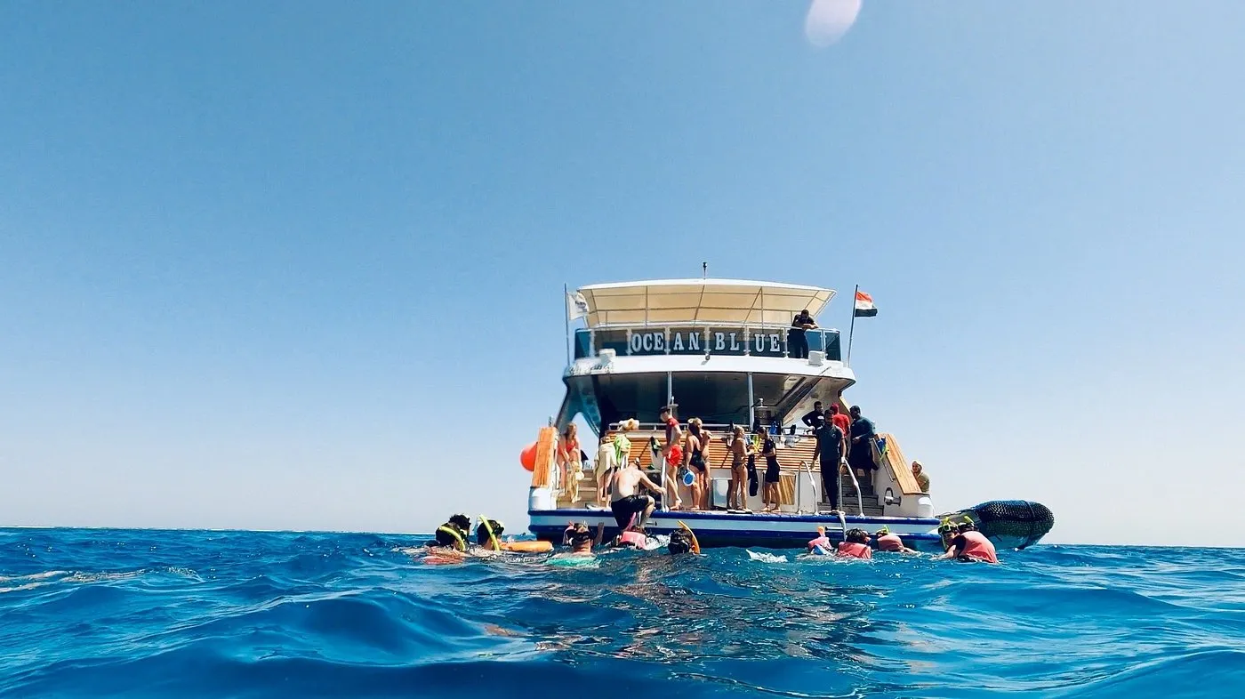 Dolphin House Adventure at Shaab Samadai Reef