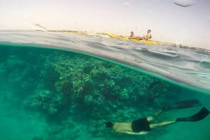 Day Snorkeling Trip to Sharm El Lulli and Wadi El Qulaan