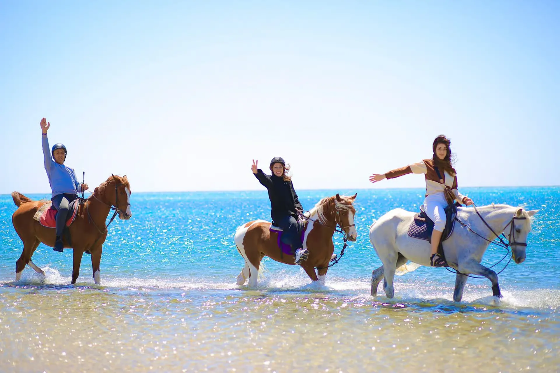 Horse riding in Sharm El Sheikh