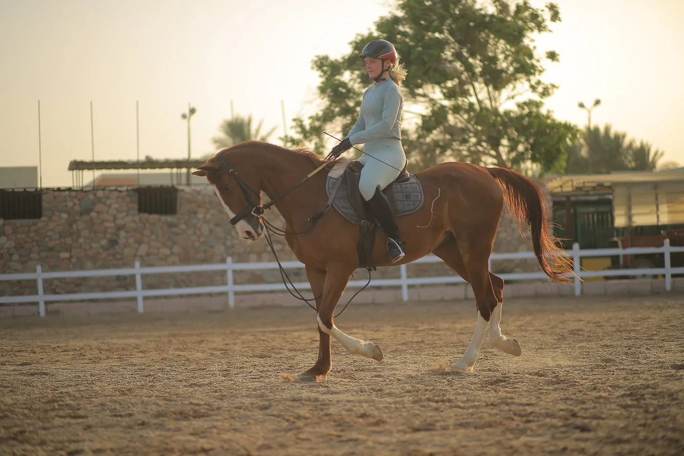 Horseback Riding In Sharm El Sheikh